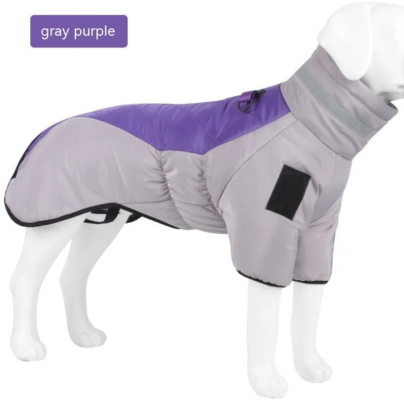 Dog Warm and Cozy in Style