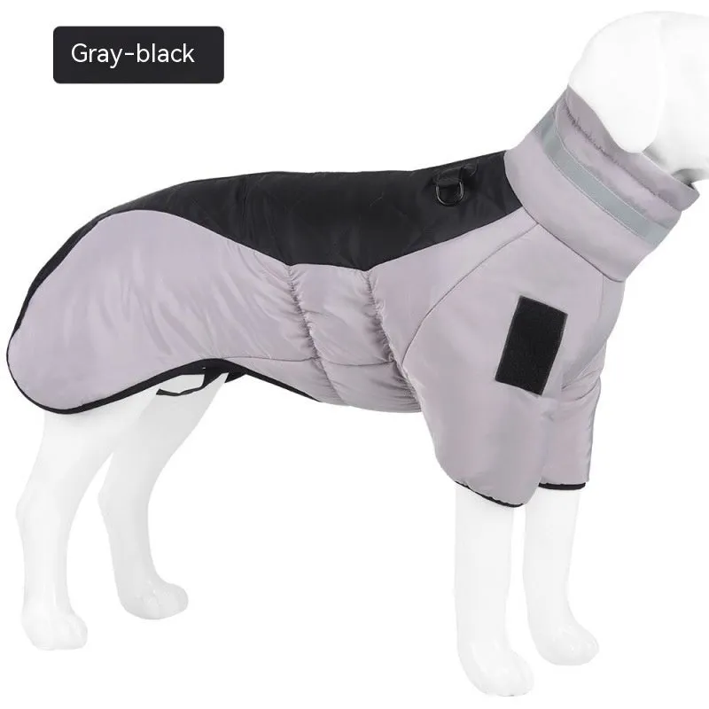 Dog Warm and Cozy in Style