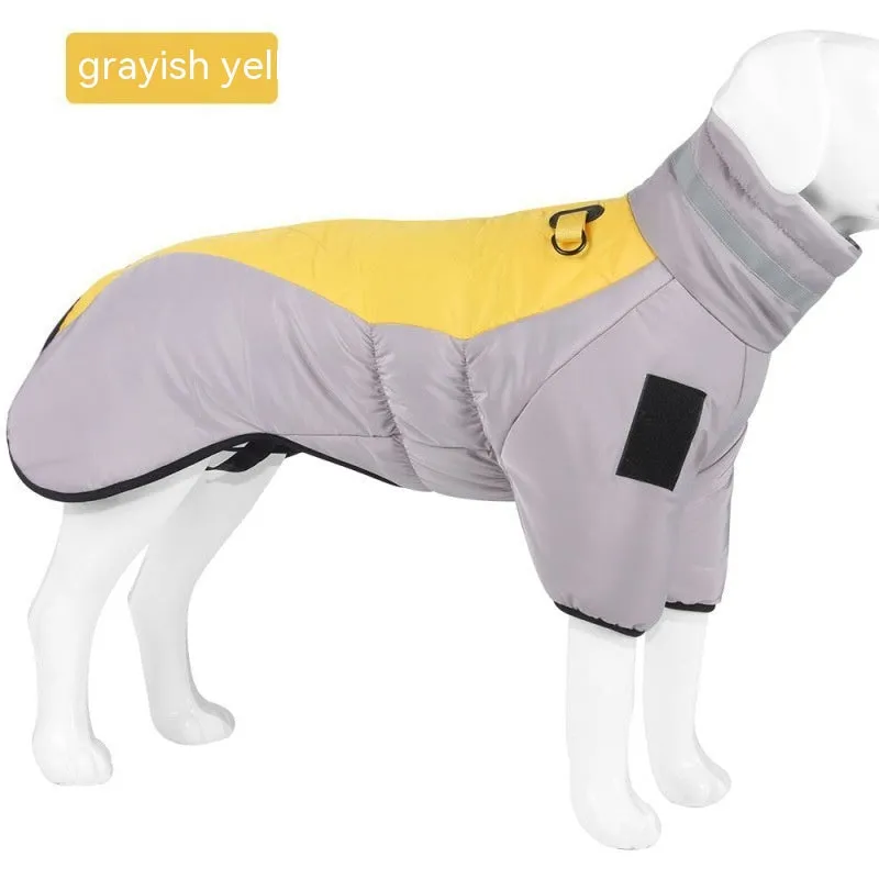 Dog Warm and Cozy in Style