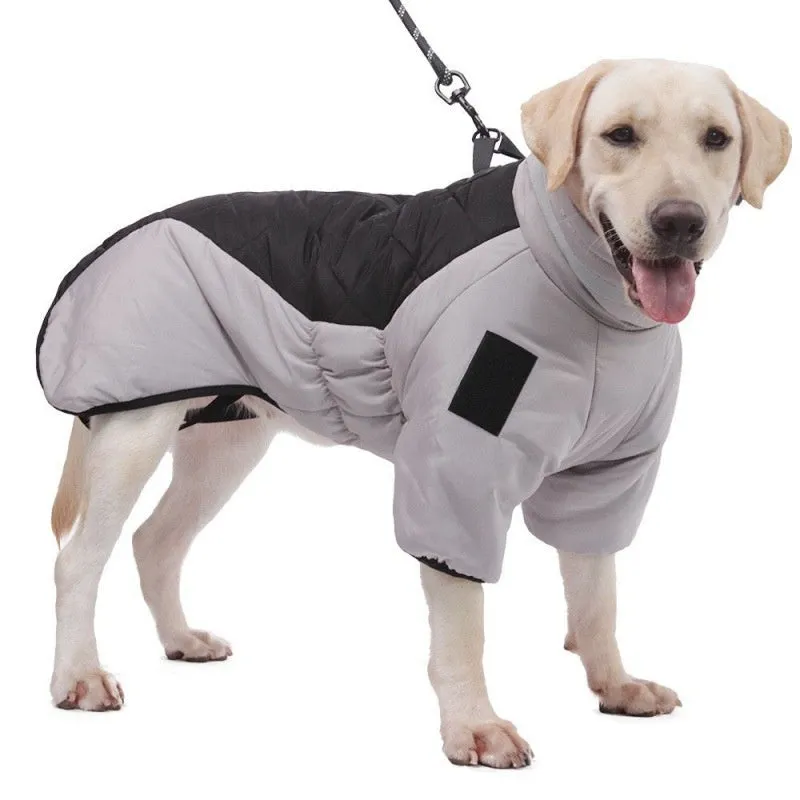 Dog Warm and Cozy in Style