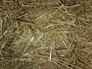 Straw Bale - 2 String